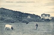 Sielski widok na park 1915 r.